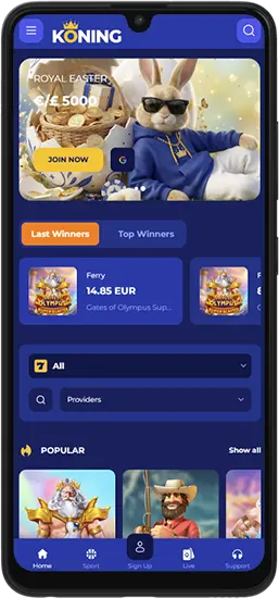De gebruiksvriendelijke interface van de Koning Casino-app